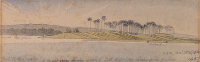 Dhoura Island by Edward Lear